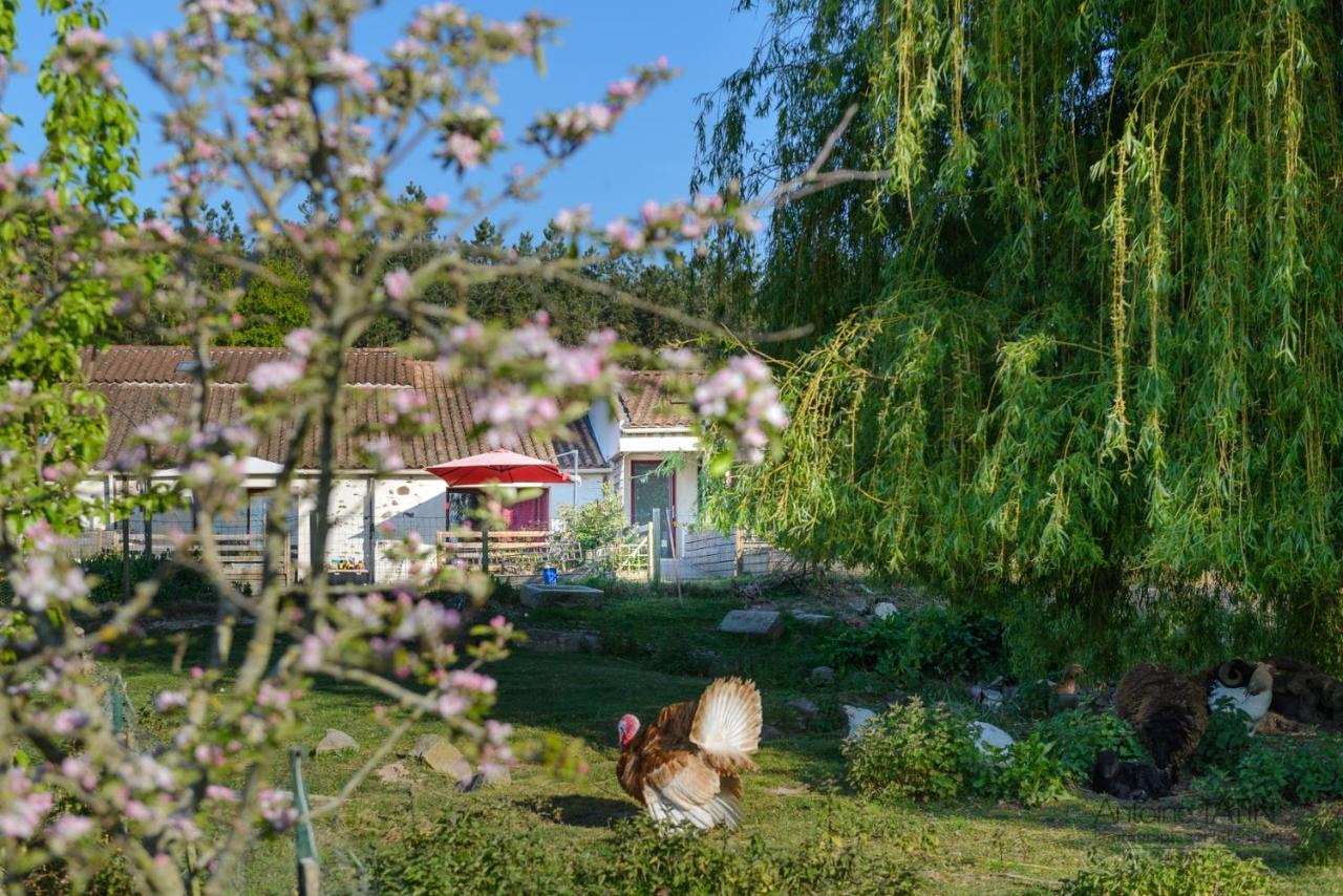 La Chevrerie Vairé Exterior foto